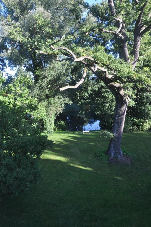 Gartenzimmer Im Schloss Neuhausen Neuhausen  Luaran gambar