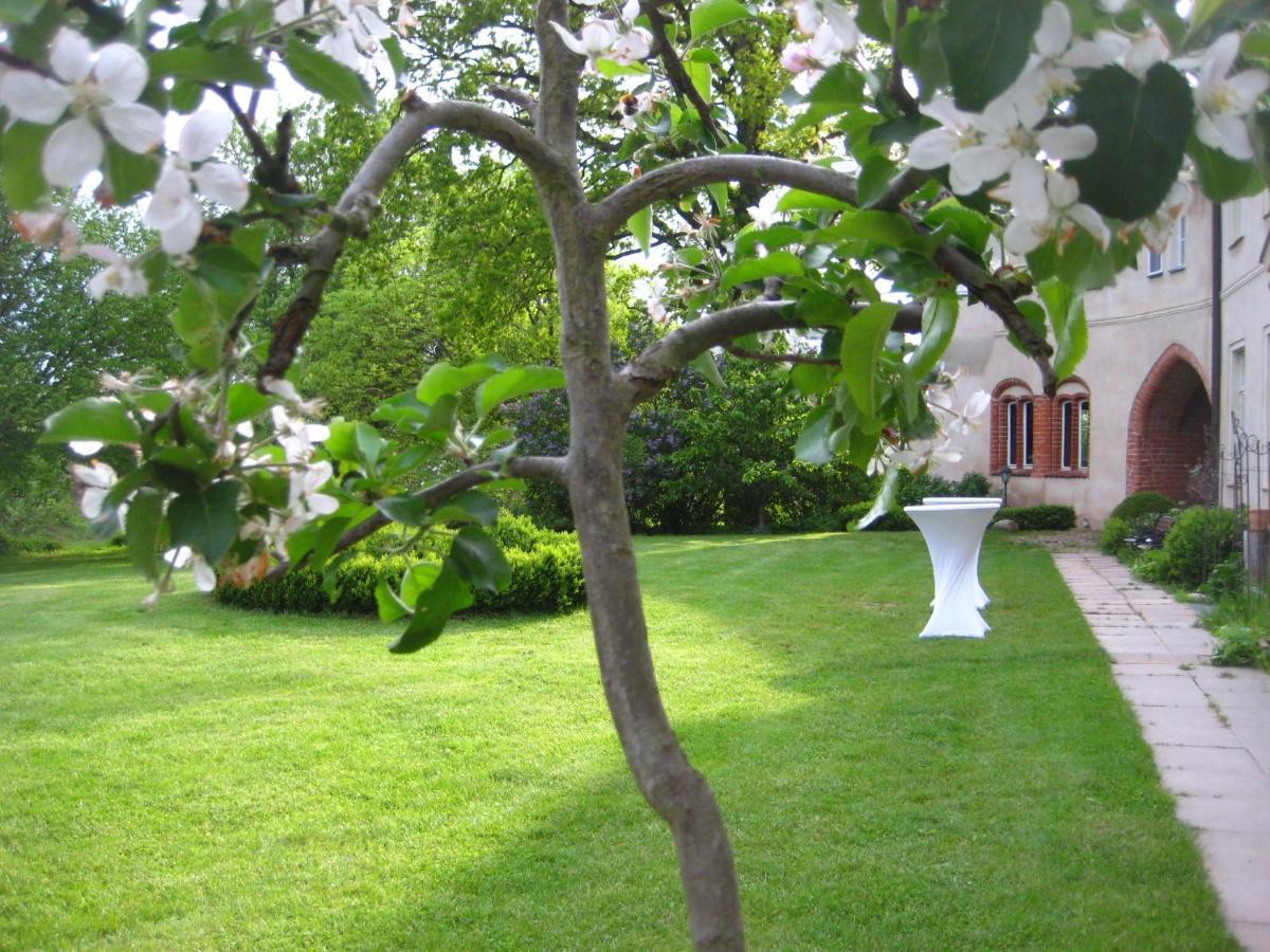 Gartenzimmer Im Schloss Neuhausen Neuhausen  Luaran gambar