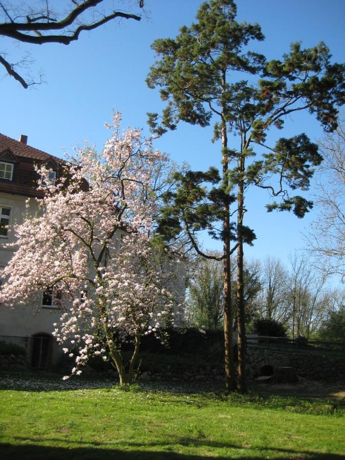 Gartenzimmer Im Schloss Neuhausen Neuhausen  Luaran gambar